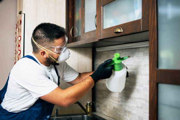 Best Pest Control Near Me in Raymondville, TX