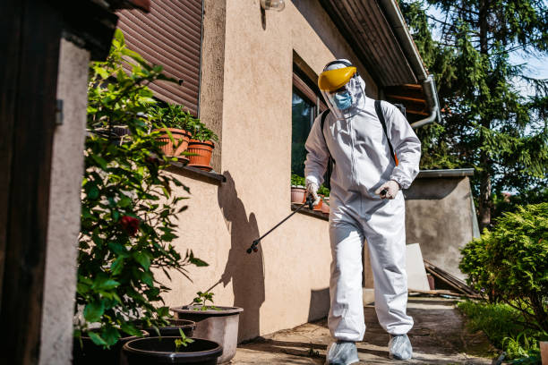 Best Pest Prevention Services  in Raymondville, TX