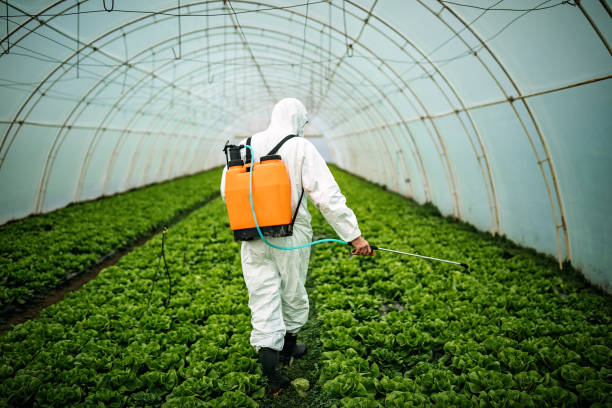 Best Pest Prevention Services  in Raymondville, TX
