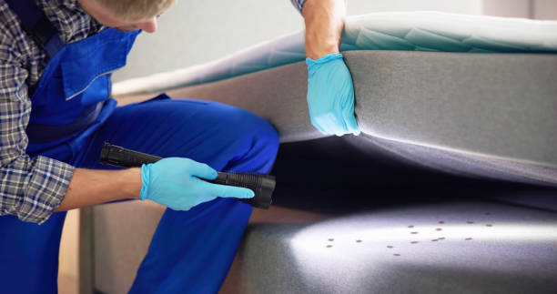 Best Local Pest Control Services  in Raymondville, TX
