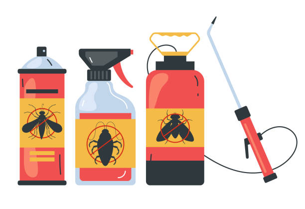 Best Best Pest Control Near Me  in Raymondville, TX