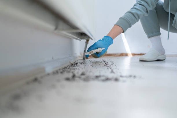 Raymondville, TX Pest Control Company
