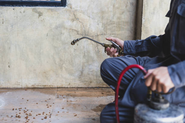 Pest Control Cost in Raymondville, TX