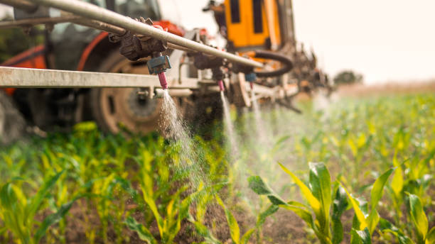 Wildlife Control Services in Raymondville, TX